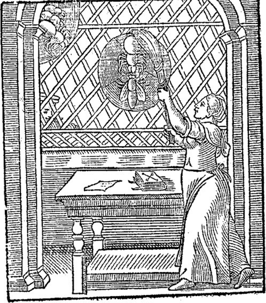 John Heywood Mary I Spider and the Flie