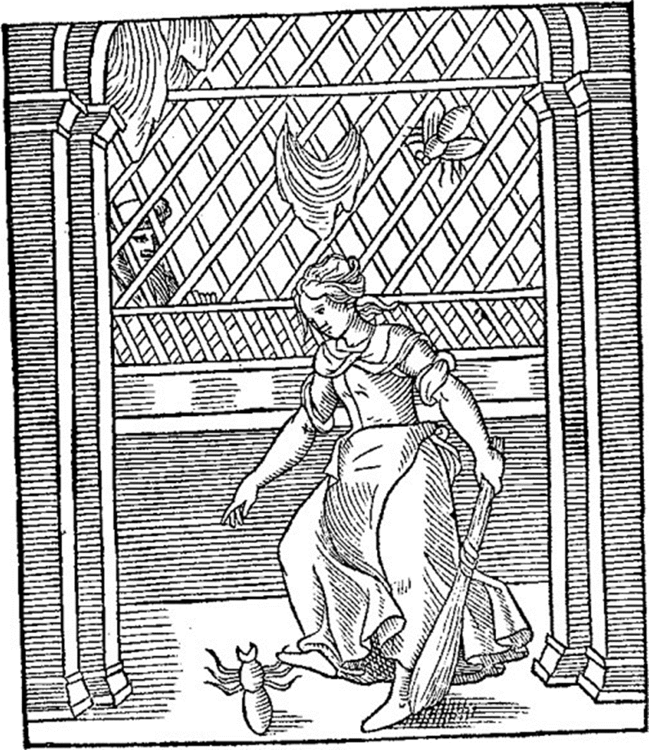 Spider and Flie Mary I cap.90